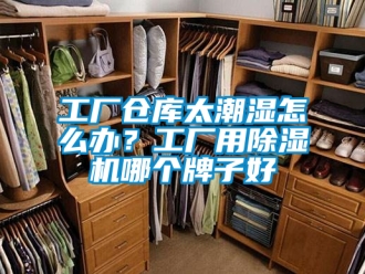 企業(yè)新聞工廠倉庫太潮濕怎么辦？工廠用除濕機哪個牌子好