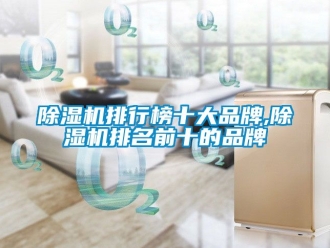 企業(yè)新聞除濕機排行榜十大品牌,除濕機排名前十的品牌