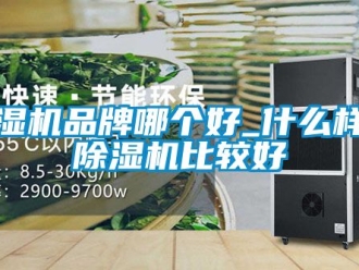 企業(yè)新聞除濕機(jī)品牌哪個好_什么樣的除濕機(jī)比較好