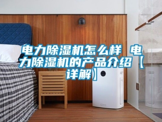 行業(yè)新聞電力除濕機怎么樣 電力除濕機的產(chǎn)品介紹【詳解】