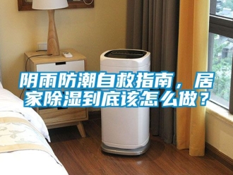 常見(jiàn)問(wèn)題陰雨防潮自救指南，居家除濕到底該怎么做？