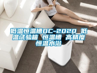 知識百科低溫恒溫槽DC-2020 低溫試驗(yàn)箱 恒溫槽 高精度恒溫水浴