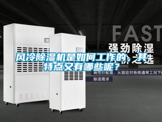 行業(yè)新聞風(fēng)冷除濕機(jī)是如何工作的，其特點(diǎn)又有哪些呢？
