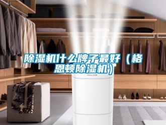 行業(yè)新聞除濕機(jī)什么牌子最好（格恩頓除濕機(jī)）