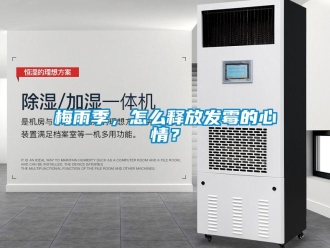 常見問題梅雨季，怎么釋放發(fā)霉的心情？
