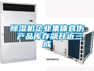 常見(jiàn)問(wèn)題除濕機(jī)企業(yè)集體哀傷 產(chǎn)品庫(kù)存飆升近三成