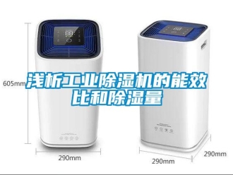 行業(yè)新聞淺析工業(yè)除濕機(jī)的能效比和除濕量