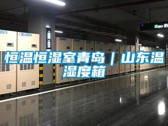 知識(shí)百科恒溫恒濕室青島｜山東溫濕度箱