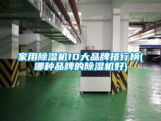 企業(yè)新聞家用除濕機10大品牌排行榜(哪種品牌的除濕機好)