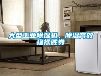 企業(yè)新聞大型工業(yè)除濕機，除濕高效穩(wěn)操勝券
