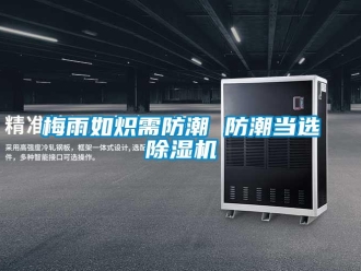 行業(yè)新聞梅雨如熾需防潮 防潮當(dāng)選除濕機(jī)
