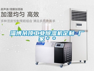 企業(yè)新聞淄博吊頂工業(yè)除濕機(jī)定制 廠家＊＊