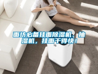 行業(yè)新聞面坊必備掛面除濕機、抽濕機，掛面干得快！