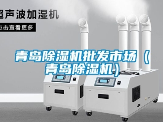 行業(yè)新聞青島除濕機批發(fā)市場（青島除濕機）