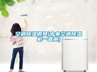 行業(yè)新聞空調(diào)除濕很臭(中央空調(diào)除濕機(jī)一直響)