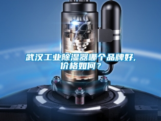 行業(yè)新聞武漢工業(yè)除濕器哪個(gè)品牌好,價(jià)格如何？
