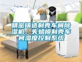 企業(yè)新聞精密鑄造制殼車間除濕機(jī)，失蠟?zāi)Ｖ茪ぼ囬g濕度控制系統(tǒng)