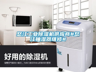 常見問題怒江工業(yè)除濕機(jī)供應(yīng)商#怒江抽濕器維修#