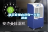 夏季家里必須有一臺(tái)除濕機(jī)