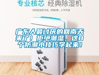行業(yè)新聞廣東人最討厭的回南天來(lái)了！拒絕潮濕，這8個(gè)防潮小技巧學(xué)起來(lái)！