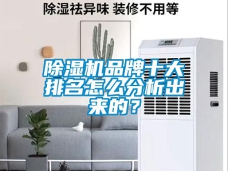 企業(yè)新聞除濕機品牌十大排名怎么分析出來的？