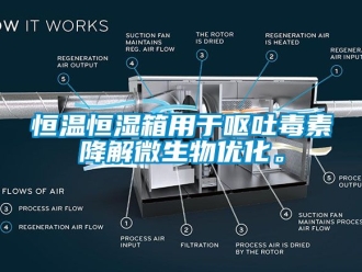 知識(shí)百科恒溫恒濕箱用于嘔吐毒素降解微生物優(yōu)化。