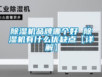 企業(yè)新聞除濕機品牌哪個好 除濕機有什么優(yōu)缺點【詳解】