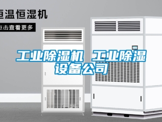 常見問題工業(yè)除濕機 工業(yè)除濕設(shè)備公司