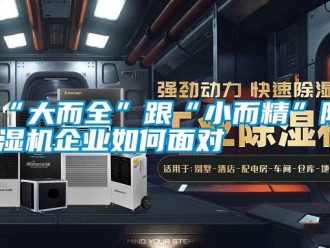 常見問題“大而全”跟“小而精”除濕機(jī)企業(yè)如何面對