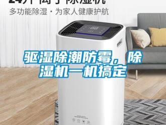 行業(yè)新聞驅濕除潮防霉，除濕機一機搞定