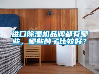 企業(yè)新聞進口除濕機品牌都有哪些，哪些牌子比較好？
