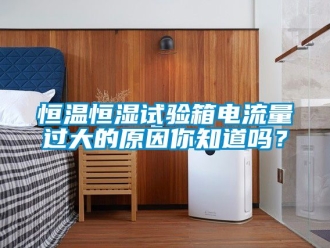 知識(shí)百科恒溫恒濕試驗(yàn)箱電流量過大的原因你知道嗎？
