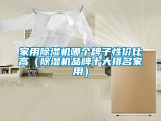 企業(yè)新聞家用除濕機(jī)哪個(gè)牌子性價(jià)比高（除濕機(jī)品牌十大排名家用）