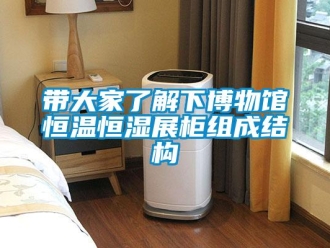 知識百科帶大家了解下博物館恒溫恒濕展柜組成結構