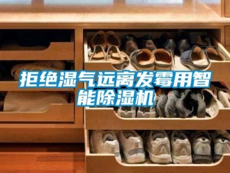 行業(yè)新聞拒絕濕氣遠(yuǎn)離發(fā)霉用智能除濕機(jī)