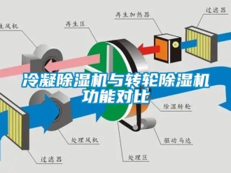 行業(yè)新聞冷凝除濕機(jī)與轉(zhuǎn)輪除濕機(jī)功能對(duì)比