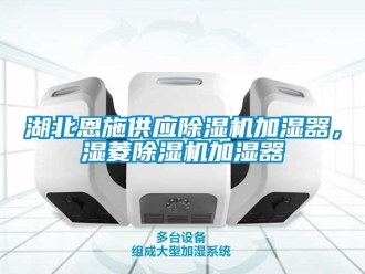 行業(yè)新聞湖北恩施供應(yīng)除濕機(jī)加濕器，濕菱除濕機(jī)加濕器