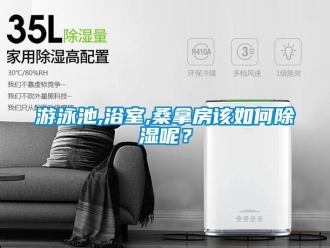 常見問題游泳池,浴室,桑拿房該如何除濕呢？