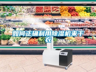 常見問題如何正確利用除濕機來干衣