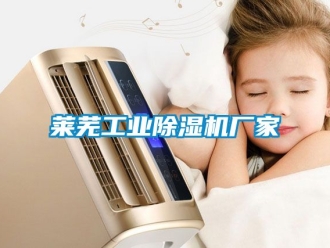 企業(yè)新聞萊蕪工業(yè)除濕機(jī)廠家
