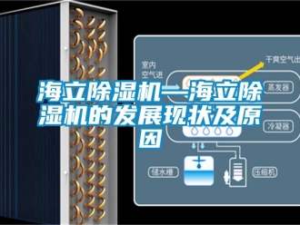 行業(yè)新聞海立除濕機—海立除濕機的發(fā)展現狀及原因