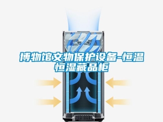 知識百科博物館文物保護設(shè)備-恒溫恒濕藏品柜