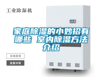 企業(yè)新聞家庭除濕的小妙招有哪些 室內(nèi)除濕方法介紹