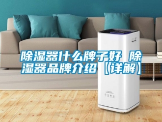 行業(yè)新聞除濕器什么牌子好 除濕器品牌介紹【詳解】