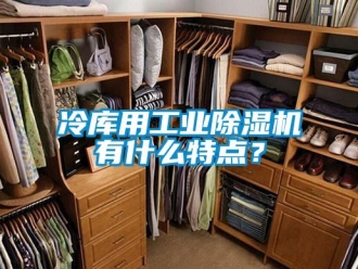 常見問題冷庫用工業(yè)除濕機(jī)有什么特點？