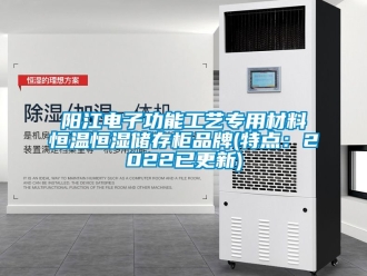 知識(shí)百科陽(yáng)江電子功能工藝專用材料恒溫恒濕儲(chǔ)存柜品牌(特點(diǎn)：2022已更新)