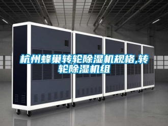 常見問題杭州蜂巢轉輪除濕機規(guī)格,轉輪除濕機組