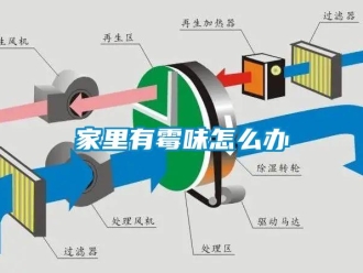 常見(jiàn)問(wèn)題家里有霉味怎么辦