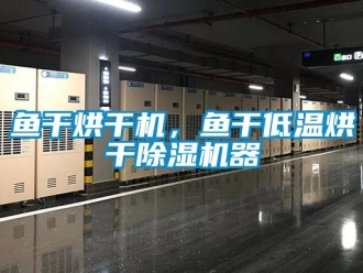 知識百科魚干烘干機(jī)，魚干低溫烘干除濕機(jī)器