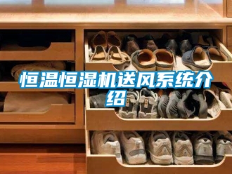 知識(shí)百科恒溫恒濕機(jī)送風(fēng)系統(tǒng)介紹